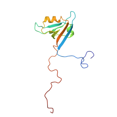 RCSB PDB - 1UF1: Solution structure of the second PDZ domain of human ...
