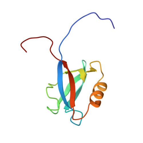 RCSB PDB - 1UJV: Solution structure of the second PDZ domain of human ...
