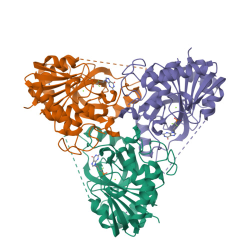 RCSB PDB - 1V48: Calf spleen purine nucleoside phosphorylase (PNP