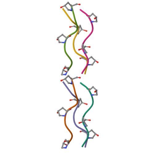 Rcsb Pdb 1v6q Crystal Structures Of Collagen Model Peptides With Pro Hyp Gly Sequence At 1 3 A