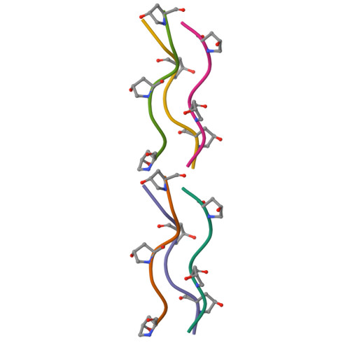 Rcsb Pdb 1v7h Crystal Structures Of Collagen Model Peptides With Pro Hyp Gly Sequence At 1 26 A