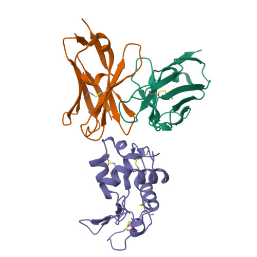 RCSB PDB - 1VFB: BOUND WATER MOLECULES AND CONFORMATIONAL STABILIZATION ...