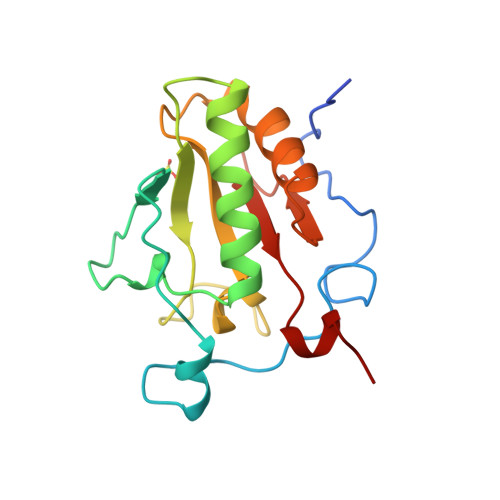 sonic hedgehog protein structure