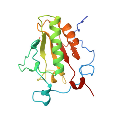 sonic hedgehog protein structure