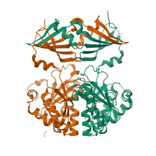 Schematic structure of a VLR protein and VLR gene assembly. VLR