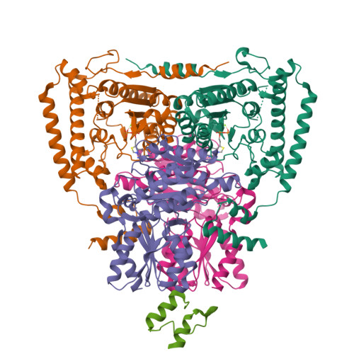 RCSB PDB - 1W88: The Crystal Structure Of Pyruvate Dehydrogenase E1 ...