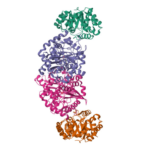 RCSB PDB 1WDW Structural Basis Of Mutual Activation Of The