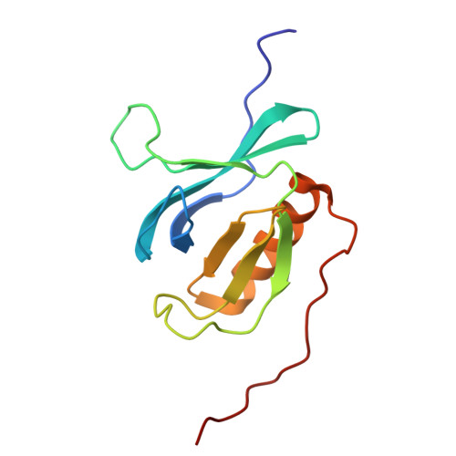PDB 1WI1