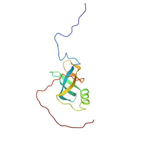 PDB 1WI5