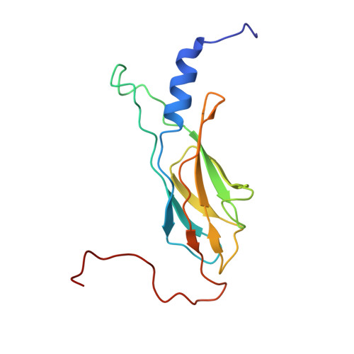 PDB 1WK0