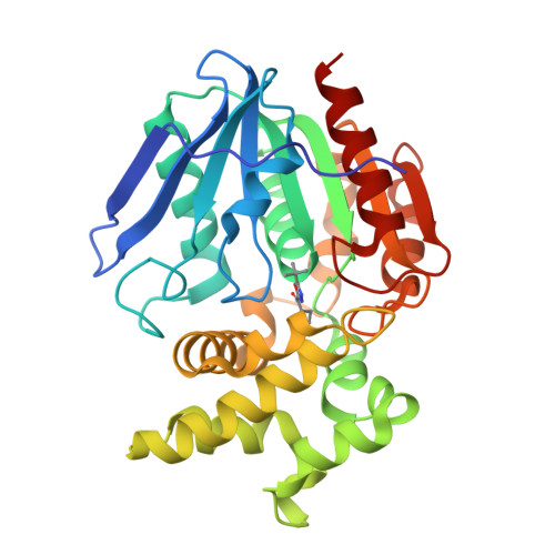 RCSB PDB - 1WM1: Crystal Structure of Prolyl Aminopeptidase, Complex ...