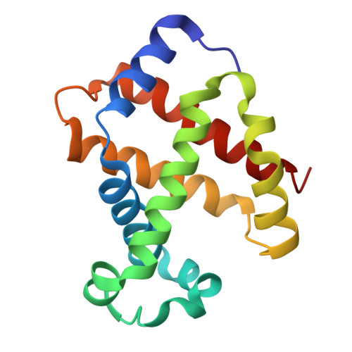 RCSB PDB - 1WMU: Crystal Structure of Hemoglobin D from the Aldabra ...