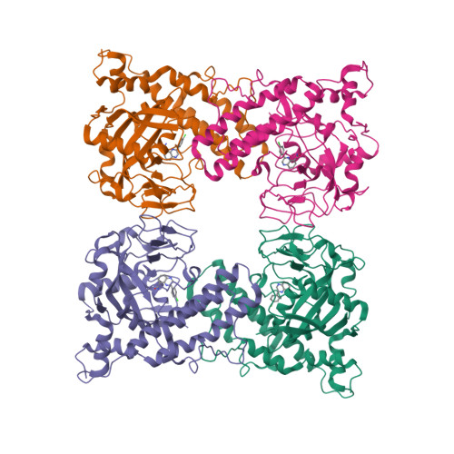 Rcsb Pdb 1wok Crystal Structure Of Catalytic Domain Of Human Polyadp Ribose Polymerase 3356