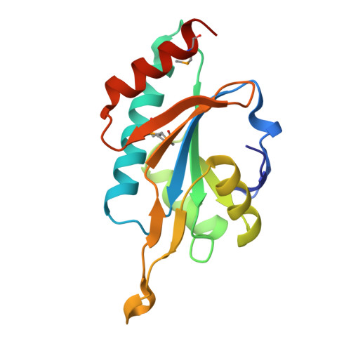 RCSB PDB - 1WP0: Human SCO1