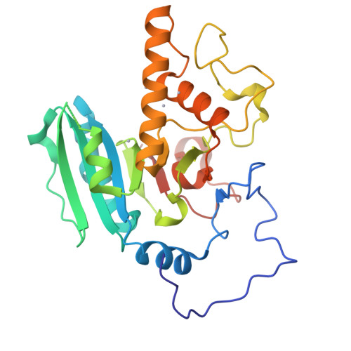 RCSB PDB - 1WSZ: Mutant human ABO(H) blood group transferase A