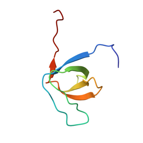 Rcsb Pdb 1wxt Solution Structure Of The Sh3 Domain Of Human Hypothetical Protein Flj21522 9507