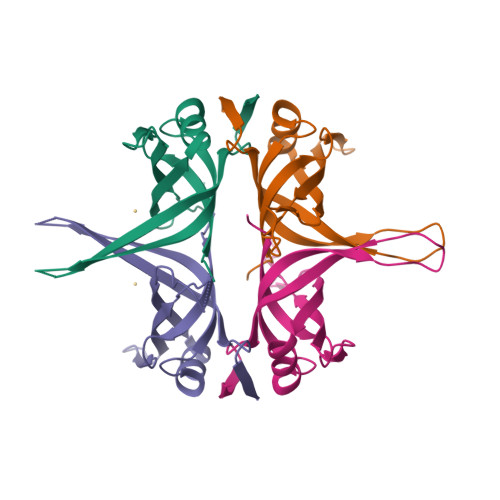 Crystal structure of the Deinococcus radiodurans single-stranded