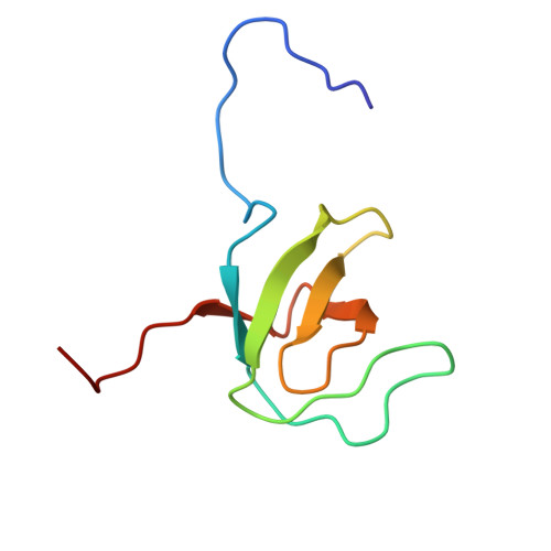 Rcsb Pdb 1x6g Solution Structures Of The Sh3 Domain Of Human Megakaryocyte Associated 6173