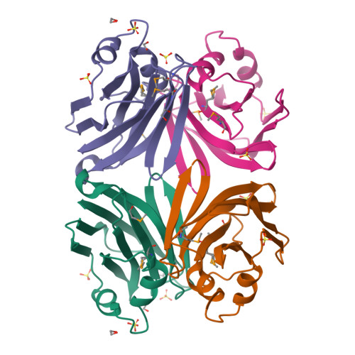 Rcsb Pdb X X Ray Crystal Structure Of Xerocomus Chrysenteron