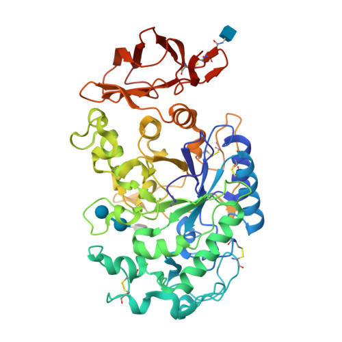 RCSB PDB - 1XCX: Acarbose Rearrangement Mechanism Implied by the ...