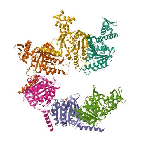 The RecA proteins of Deinococcus radiodurans and Escherichia coli