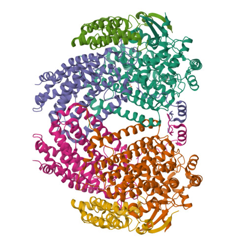 RCSB PDB - 1XU5: Soluble methane monooxygenase hydroxylase-phenol soaked