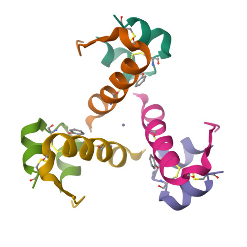 Packing diagrams of (a) S-C1 44 , (b) S-C2 44 , (c) S-C3 44 , (d) S-C4