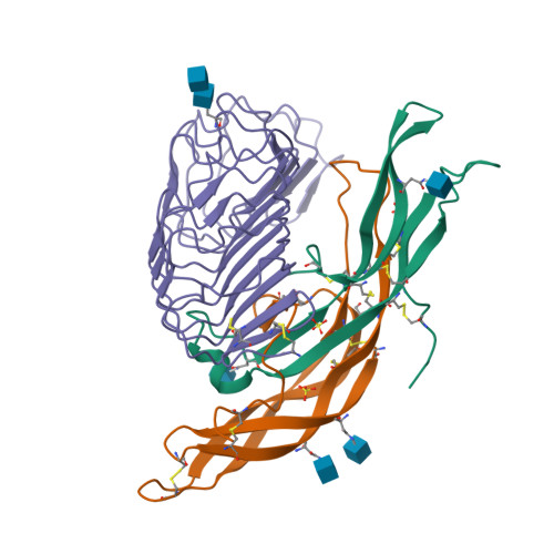 Rcsb Pdb Xwd Crystal Structure Of Human Follicle Stimulating Hormone Complexed With Its Receptor