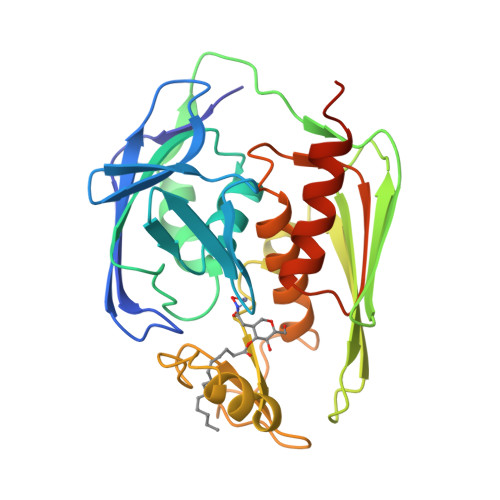 Rcsb Pdb Xxe Rdc Refined Solution Structure Of The Aalpxc Tu Complex