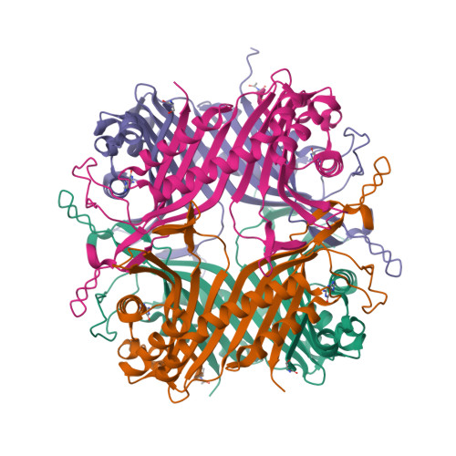 RCSB PDB - 1XY3: Urate oxidase from aspergillus flavus complexed with ...