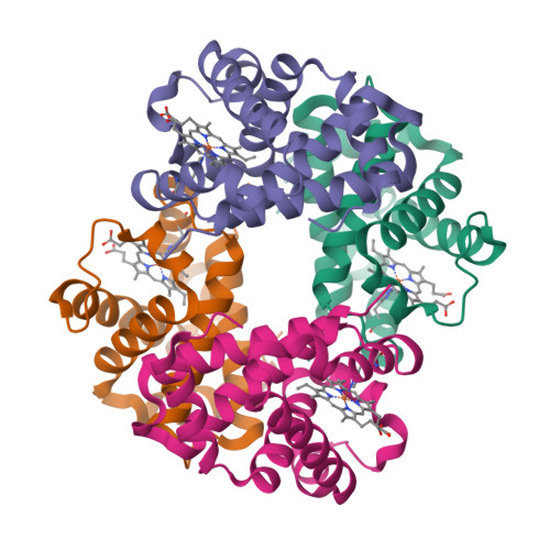 RCSB PDB - 1XZ7: T-to-THigh Quaternary Transitions in Human 