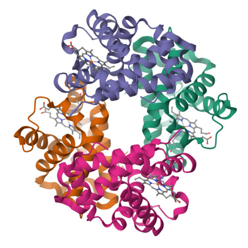 RCSB PDB - 1XZ7: T-to-THigh Quaternary Transitions in Human 