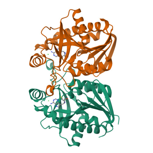 RCSB PDB - 1Y6Q: Cyrstal structure of MTA/AdoHcy nucleosidase