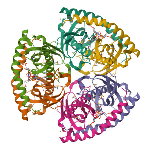 RCSB PDB - 1Y7U: Crystal Structure of Acyl-Coa hydrolase from Bacillus ...