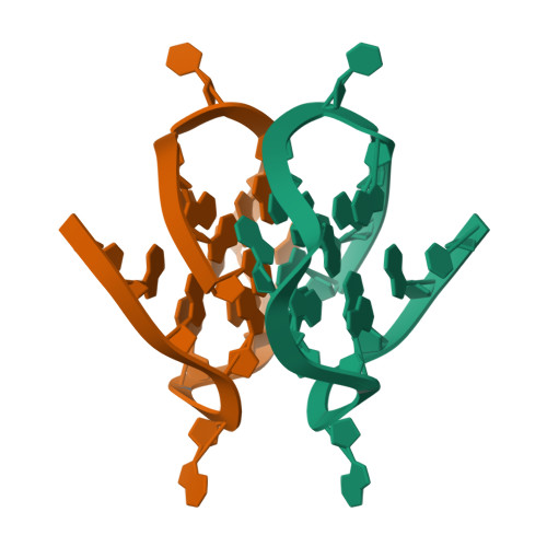 Tetraplex Shape RCSB PDB - 1Y8D: Dimeric parallel-stranded tetraplex with 3+1 5' G ...