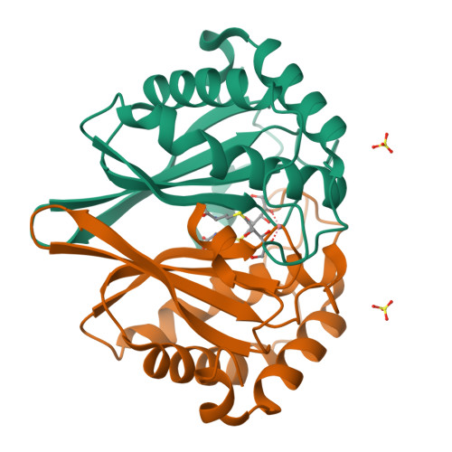 RCSB PDB - 1YCL: Crystal Structure Of B. Subtilis LuxS In Complex With ...