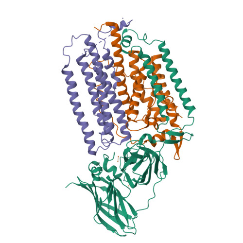 Rcsb Pdb 1yew Crystal Structure Of Particulate Methane Monooxygenase