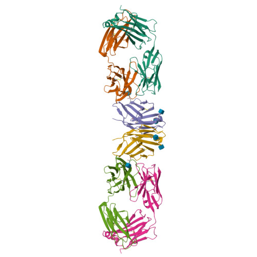 RCSB PDB - 1YJD: Crystal structure of human CD28 in complex with the ...