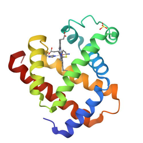 RCSB PDB - 1YMC: THREE-DIMENSIONAL STRUCTURE OF CYANOMET-SULFMYOGLOBIN C