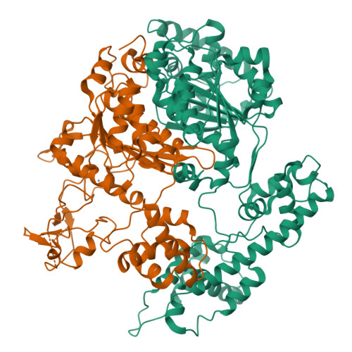 Rcsb Pdb Yov Insights Into The Ubiquitin Transfer Cascade From The Refined Structure Of The