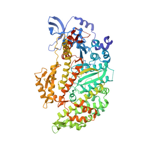 RCSB PDB - 1YV3: The structural basis of blebbistatin inhibition 