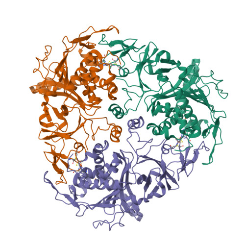 1Z01: 2-Oxoquinoline 8-Monooxygenase Component  - RCSB PDB