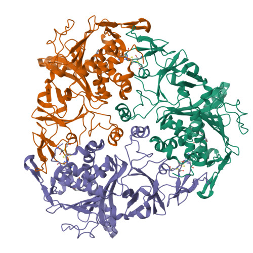 RCSB PDB - 1Z03: 2-Oxoquinoline 8-Monooxygenase Component: Active site ...