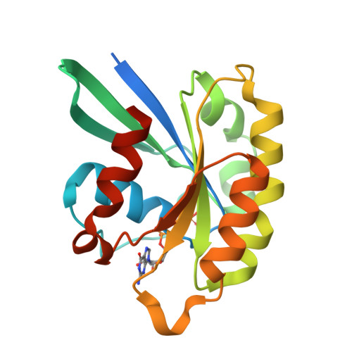 RCSB PDB - 1Z06: GppNHp-Bound Rab33 GTPase