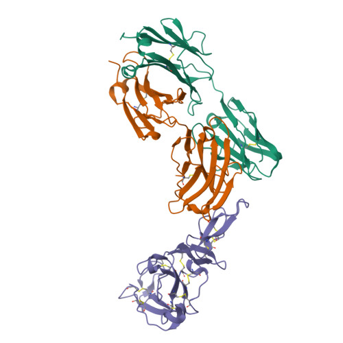 RCSB PDB - 1Z3G: Crystal structure of complex between Pvs25 and 