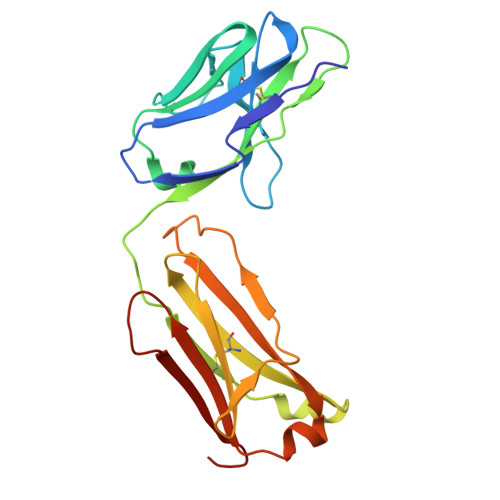 RCSB PDB - 1Z3G: Crystal structure of complex between Pvs25 and 