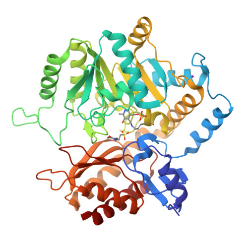 RCSB PDB - 1Z3Z: The crystal structure of a DGD mutant: Q52A