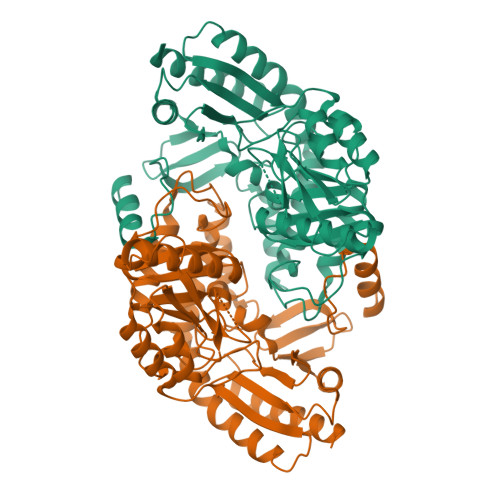 RCSB PDB - 1Z7D: Ornithine aminotransferase PY00104 from Plasmodium Yoelii