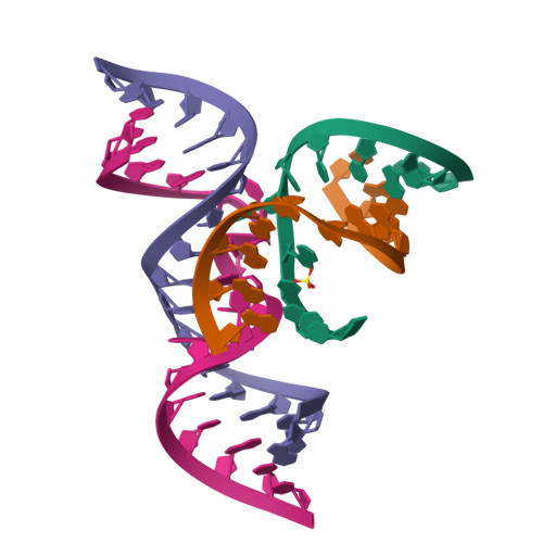 RCSB PDB - 1ZFV: The structure of an all-RNA minimal Hairpin