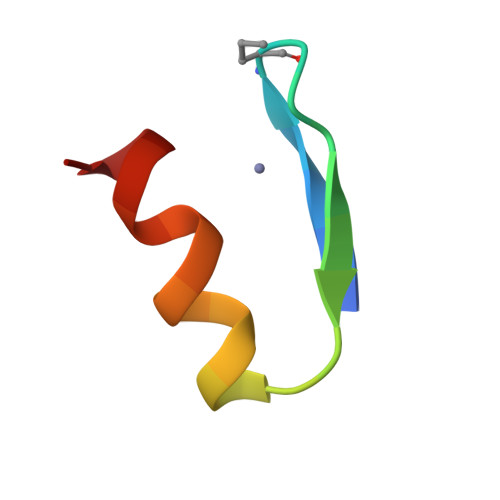 RCSB PDB - 1ZNM: A zinc finger with an artificial beta-turn, original ...